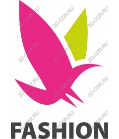  Bright fashion bird