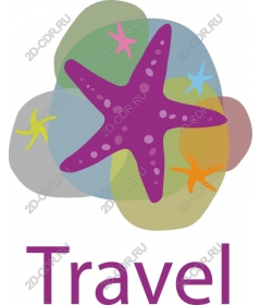  A whimsical journey starfish
