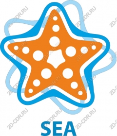  Bright orange starfish