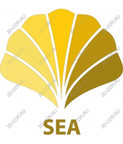 Golden shell