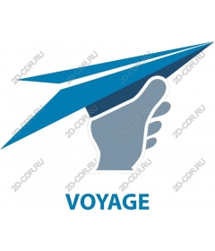 Voyage - Hand launch paper airplane