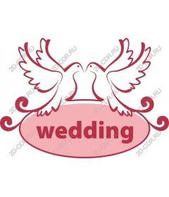 Elegant wedding pigeon