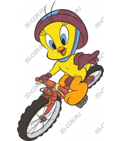 Funny bird-cyclist