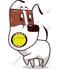  Charming playful dog