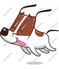  Joyful dog in motion