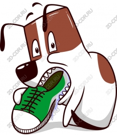Playful dog with sneakers