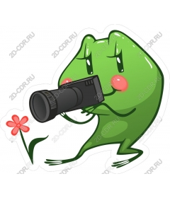  Charming photographer-frog