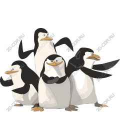 Playful penguin