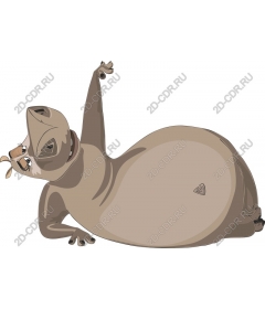  Chubby playful animal