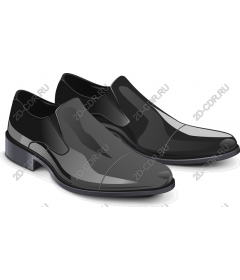  Elegant black shoes