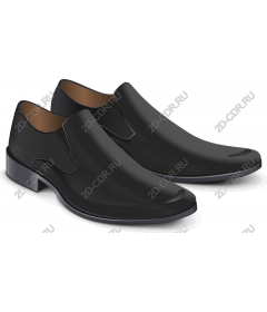  Elegant black shoes