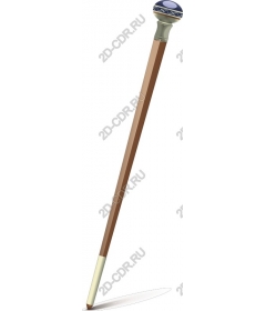  Elegant walking stick