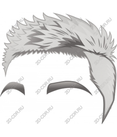 Daring men's hairstyle