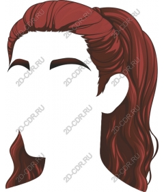  Elegant ponytail