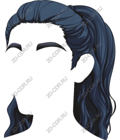  Elegant ponytail