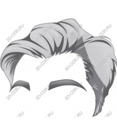  A stylish hairstyles