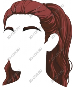  Elegant hairstyle ponytail