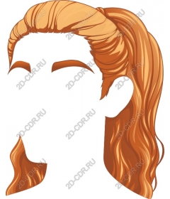  Elegant hairstyle ponytail