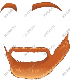  Stylized beard