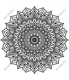 Intricate black and white mandala