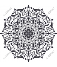Exquisite mandala