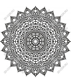 Intricate black and white mandala