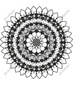 Intricate black and white mandala