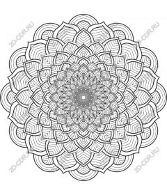  Elegant Mandala