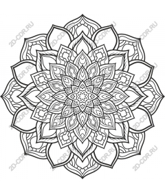  Complex mandala