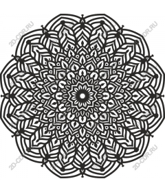  Elegant black and white mandala