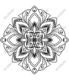  Elegant floral mandala