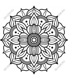  Elegant Mandala
