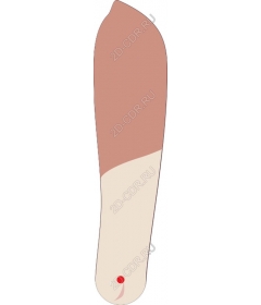  Culinary elegance: blade