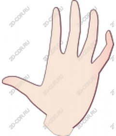  Elegant hand