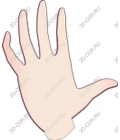  Hand