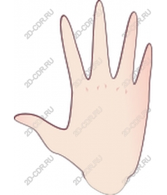  Hand