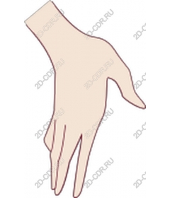  Elegant hand