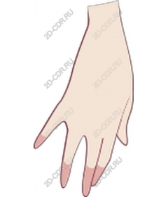  Elegant hand