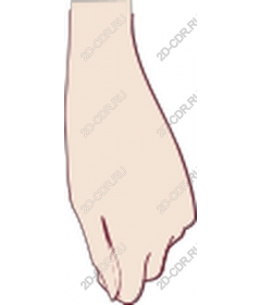 Closed hand