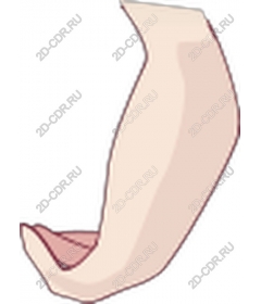  Curved hand
