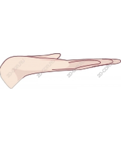  Elegant hand