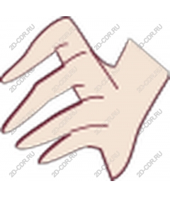  Elegant hand