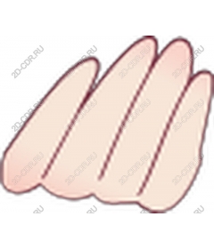  Elegant hand