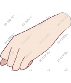  Human hand