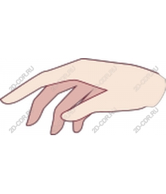  Elegant hand