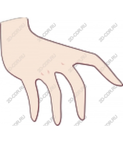  Elegant hand