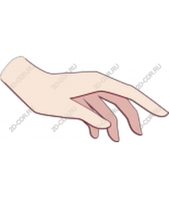  Elegant human hand