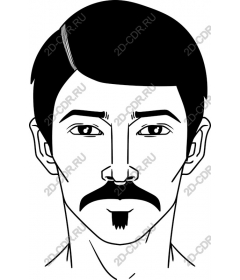  Confident portrait of a man