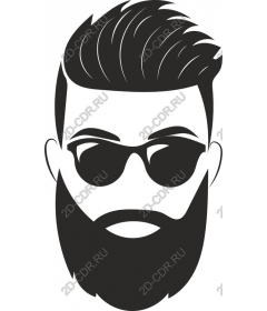 Bearded man with sunglasses