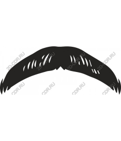  Classic mustache